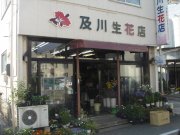 「及川生花店」　（福島県福島市）の花屋店舗写真1